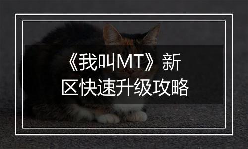 《我叫MT》新区快速升级攻略