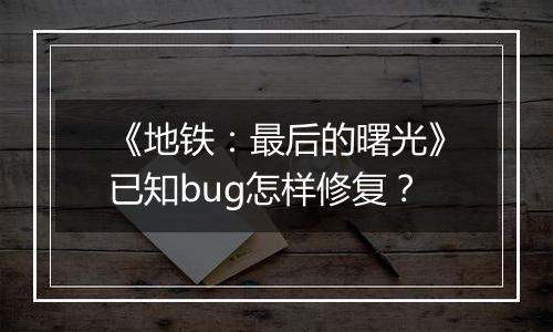 《地铁：最后的曙光》已知bug怎样修复？
