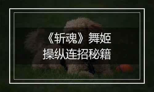 《斩魂》舞姬操纵连招秘籍