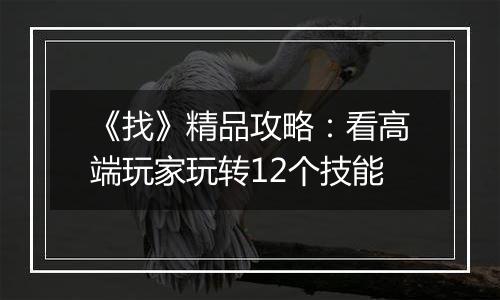 《找》精品攻略：看高端玩家玩转12个技能