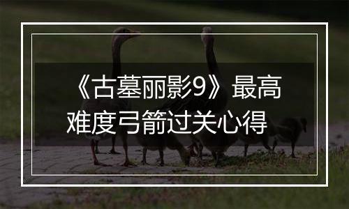 《古墓丽影9》最高难度弓箭过关心得