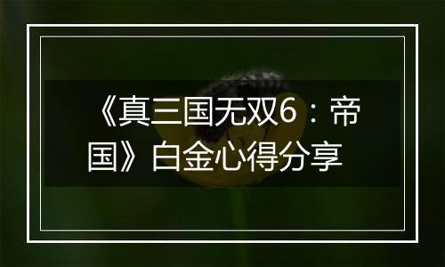 《真三国无双6：帝国》白金心得分享