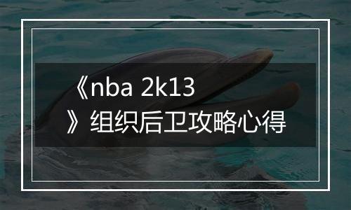 《nba 2k13》组织后卫攻略心得