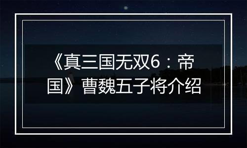 《真三国无双6：帝国》曹魏五子将介绍