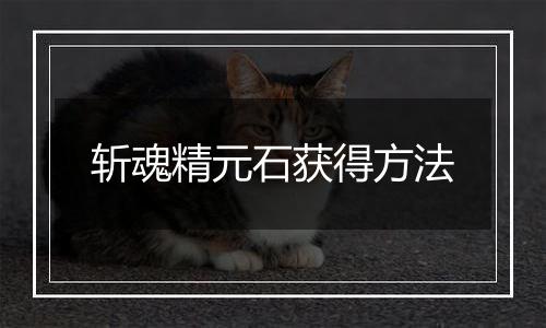 斩魂精元石获得方法