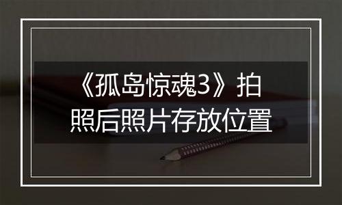 《孤岛惊魂3》拍照后照片存放位置