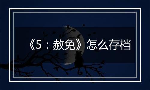 《5：赦免》怎么存档