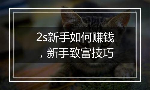 2s新手如何赚钱，新手致富技巧