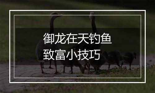 御龙在天钓鱼致富小技巧