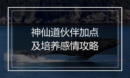 神仙道伙伴加点及培养感情攻略