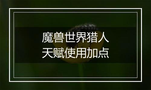 魔兽世界猎人天赋使用加点