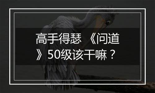 高手得瑟 《问道》50级该干嘛？