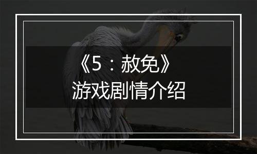 《5：赦免》游戏剧情介绍