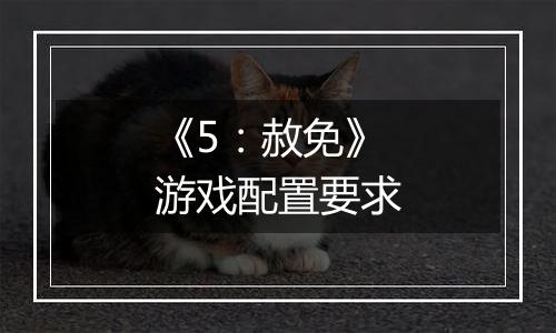 《5：赦免》游戏配置要求