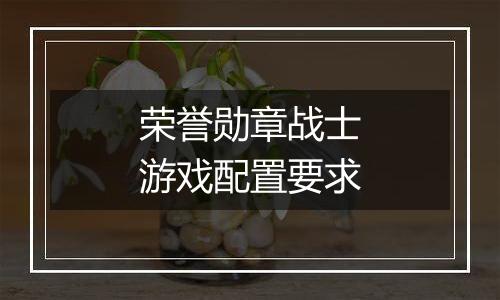 荣誉勋章战士游戏配置要求