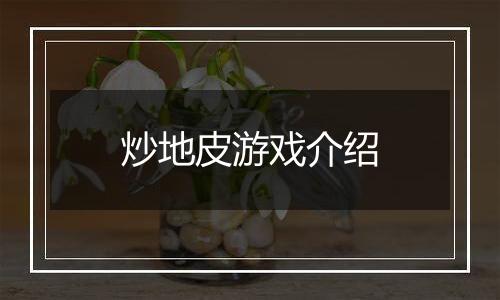 炒地皮游戏介绍