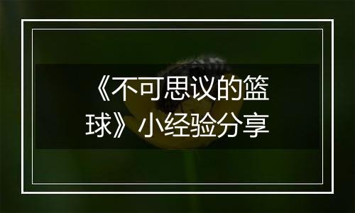 《不可思议的篮球》小经验分享