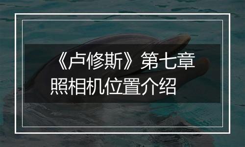 《卢修斯》第七章照相机位置介绍