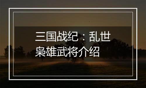 三国战纪：乱世枭雄武将介绍