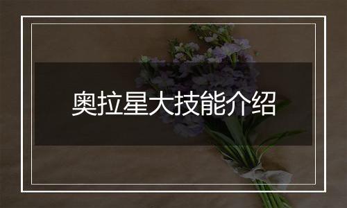 奥拉星大技能介绍