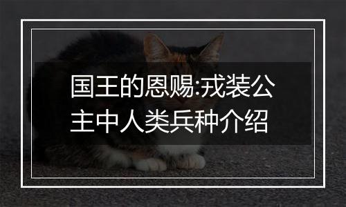 国王的恩赐:戎装公主中人类兵种介绍