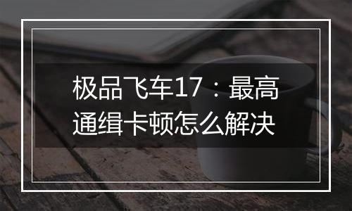 极品飞车17：最高通缉卡顿怎么解决