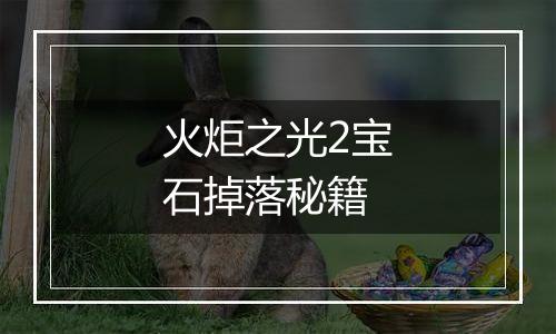 火炬之光2宝石掉落秘籍