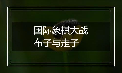 国际象棋大战布子与走子