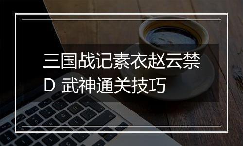 三国战记素衣赵云禁D 武神通关技巧