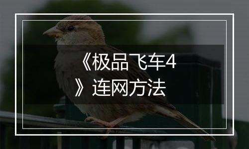 《极品飞车4》连网方法