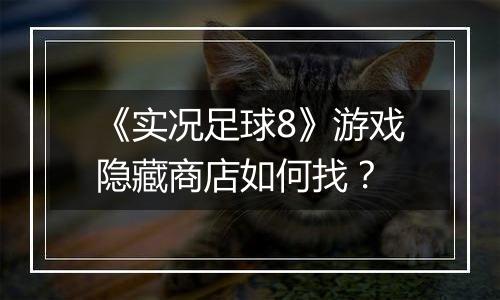 《实况足球8》游戏隐藏商店如何找？