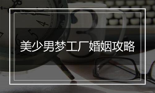 美少男梦工厂婚姻攻略