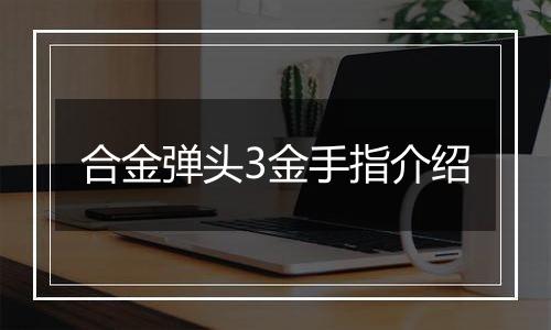 合金弹头3金手指介绍