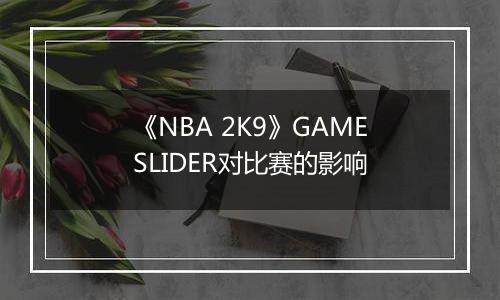 《NBA 2K9》GAMESLIDER对比赛的影响