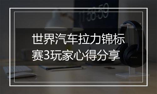 世界汽车拉力锦标赛3玩家心得分享