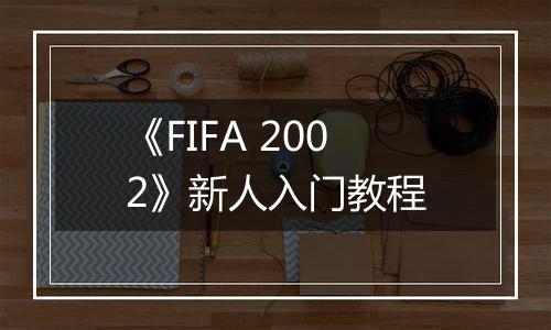《FIFA 2002》新人入门教程