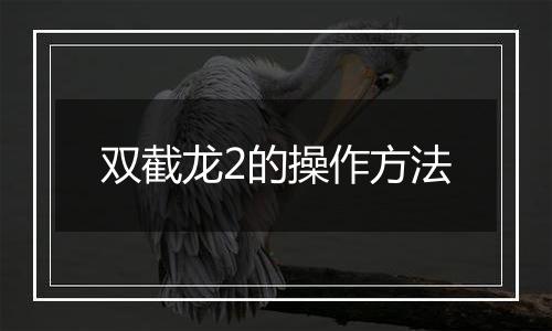 双截龙2的操作方法