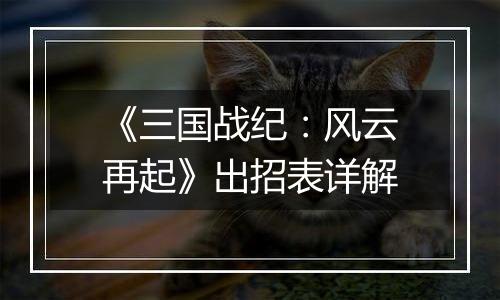 《三国战纪：风云再起》出招表详解