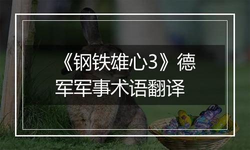 《钢铁雄心3》德军军事术语翻译