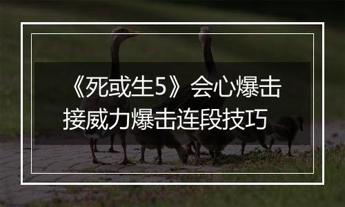 《死或生5》会心爆击接威力爆击连段技巧