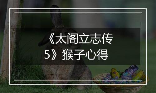 《太阁立志传5》猴子心得