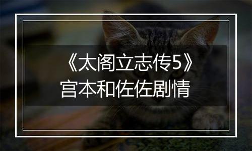 《太阁立志传5》宫本和佐佐剧情