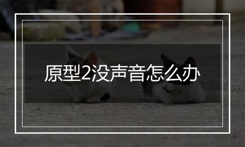 原型2没声音怎么办