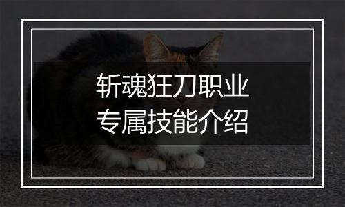 斩魂狂刀职业专属技能介绍