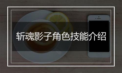 斩魂影子角色技能介绍