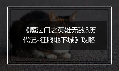 《魔法门之英雄无敌3历代记-征服地下城》攻略