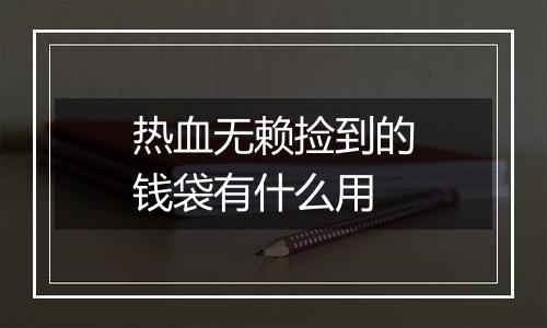 热血无赖捡到的钱袋有什么用