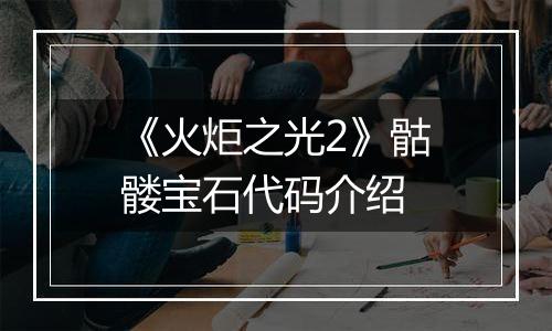 《火炬之光2》骷髅宝石代码介绍