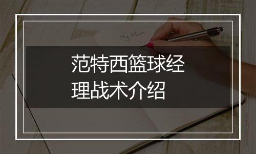 范特西篮球经理战术介绍