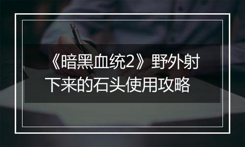 《暗黑血统2》野外射下来的石头使用攻略